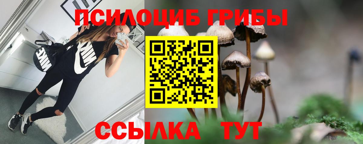 Псилоцибиновые грибы Cubensis  Вход с VPN  Галлюциногенные грибы Psilocybe  Нефтекамск 